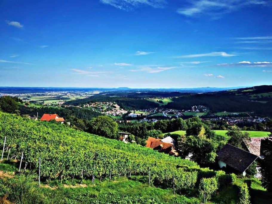 Wiednermichl - Urlaub In Den Weinbergen Krottendorf bei Ligist Ngoại thất bức ảnh